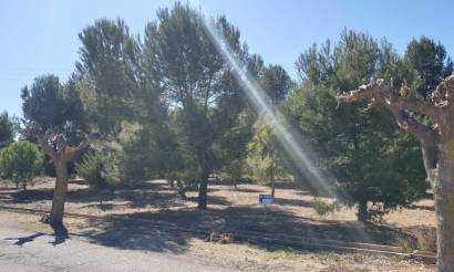 Land · Bestaande woningen · Benejama · Benejama