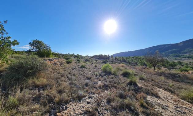 Land - Bestaande woningen - La Romana - La Romana