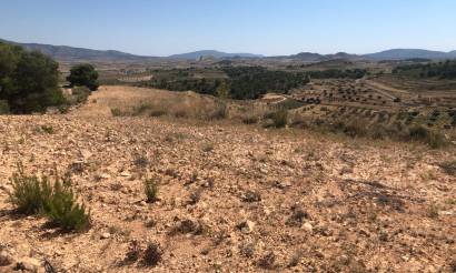 Land · Bestaande woningen · La Zarza · La Zarza