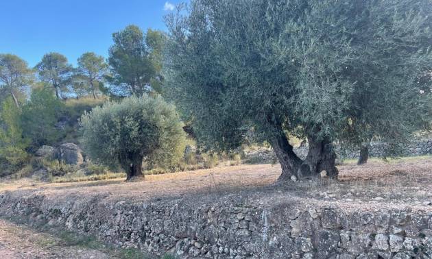 Land - Bestaande woningen - La Zarza - La Zarza