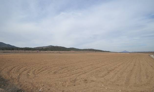 Land - Bestaande woningen - Monovar - Monovar