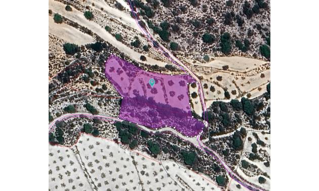 Land - Bestaande woningen - Monovar - Monovar