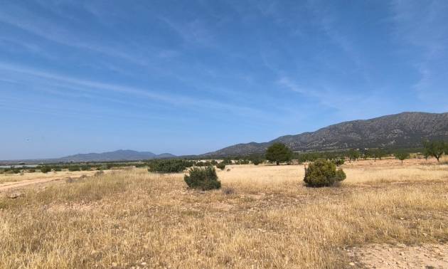 Land - Bestaande woningen - Monovar - Monovar