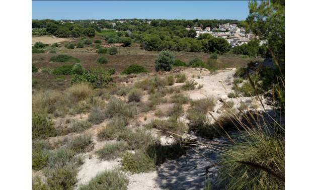 Land - Bestaande woningen - Pinar de Campoverde - Pinar de Campoverde