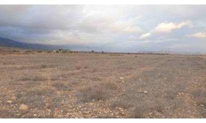 Land · Bestaande woningen · Pinoso · Pinoso