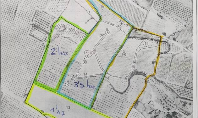 Land - Bestaande woningen - Pinoso - Pinoso