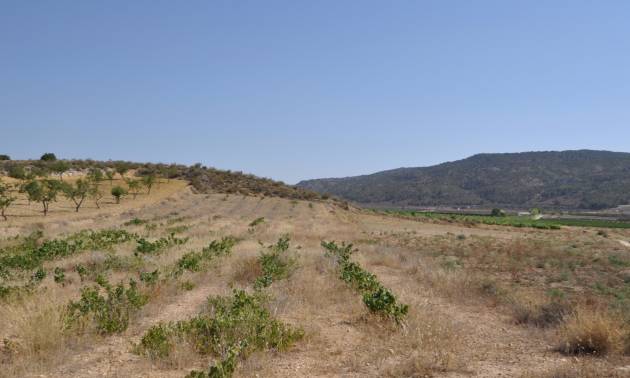 Land - Bestaande woningen - Pinoso - Pinoso