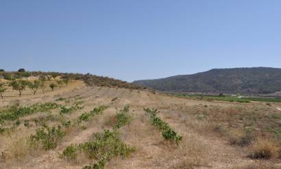 Land · Bestaande woningen · Pinoso · Pinoso
