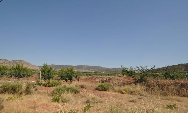 Land - Bestaande woningen - Pinoso - Pinoso