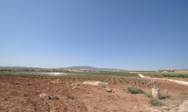 Land - Bestaande woningen - Pinoso - Pinoso