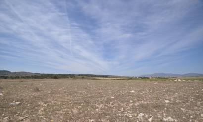 Land · Bestaande woningen · Pinoso · Pinoso