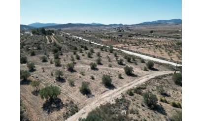Land · Bestaande woningen · Pinoso · Pinoso