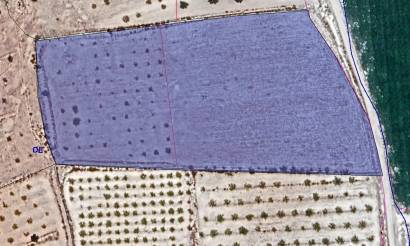 Land · Bestaande woningen · Pinoso · Pinoso