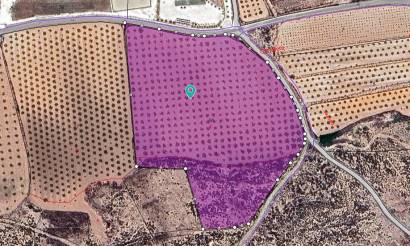 Land · Bestaande woningen · Pinoso · Pinoso