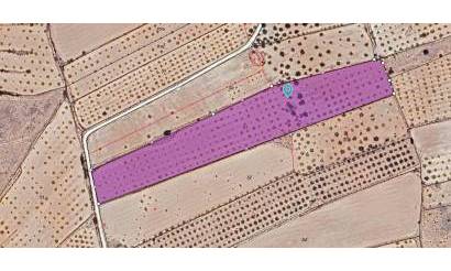 Land · Bestaande woningen · Pinoso · Pinoso