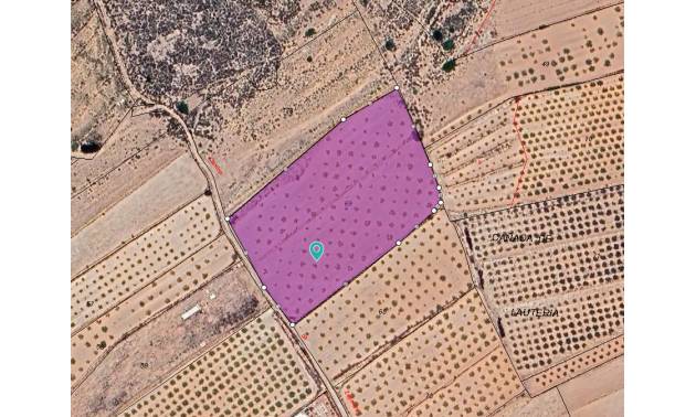 Land - Bestaande woningen - Pinoso - Pinoso