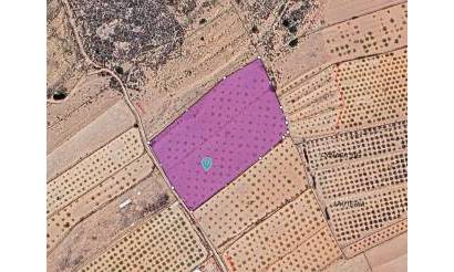 Land · Bestaande woningen · Pinoso · Pinoso