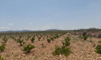 Land · Bestaande woningen · Pinoso · Pinoso