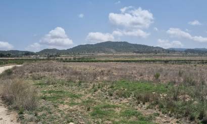 Land · Bestaande woningen · Pinoso · Pinoso