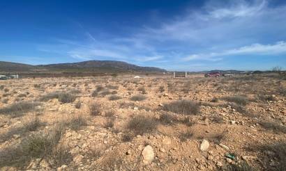 Land · Bestaande woningen · Pinoso · Pinoso