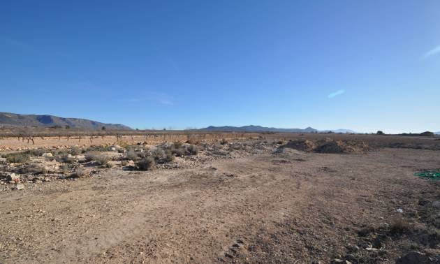 Land - Bestaande woningen - Pinoso - Pinoso