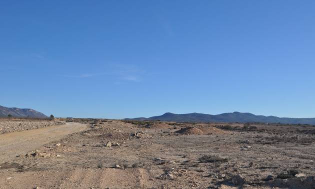 Land - Bestaande woningen - Pinoso - Pinoso