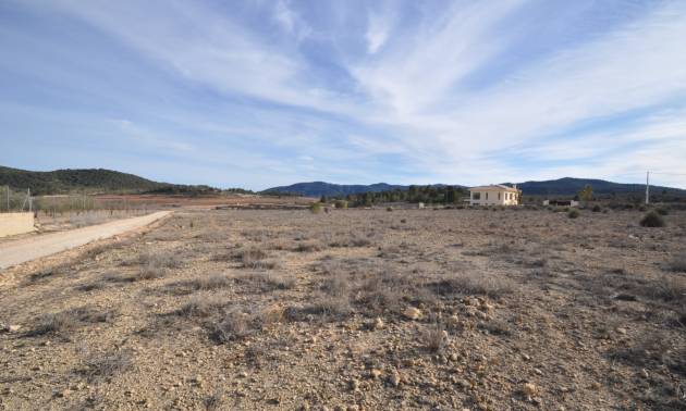 Land - Bestaande woningen - Pinoso - Pinoso