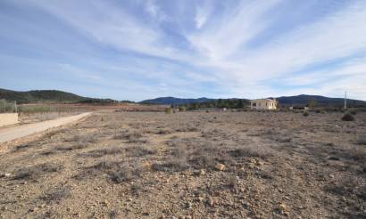 Land · Bestaande woningen · Pinoso · Pinoso