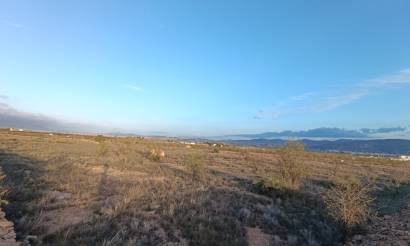 Land · Bestaande woningen · Pinoso · Pinoso