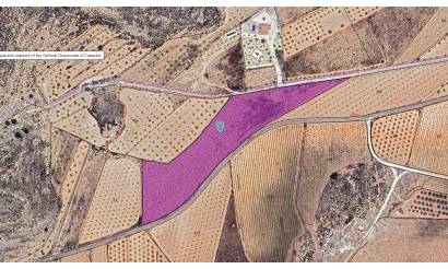 Land · Bestaande woningen · Pinoso · Pinoso