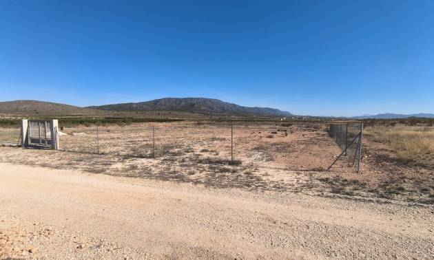 Land - Bestaande woningen - Pinoso - Pinoso