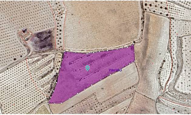 Land - Bestaande woningen - Pinoso - Pinoso