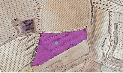 Land · Bestaande woningen · Pinoso · Pinoso