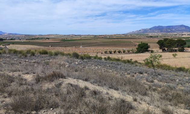 Land - Bestaande woningen - Pinoso - Pinoso