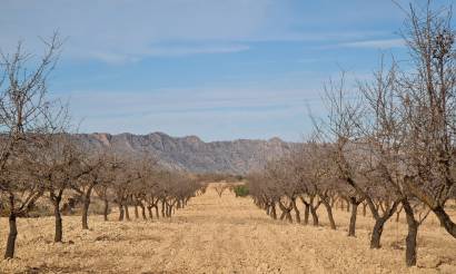 Land · Bestaande woningen · Raspay · Raspay
