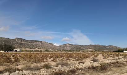 Land - Bestaande woningen - Salinas - INM-17725