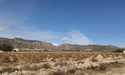 Land · Bestaande woningen · Salinas · Salinas