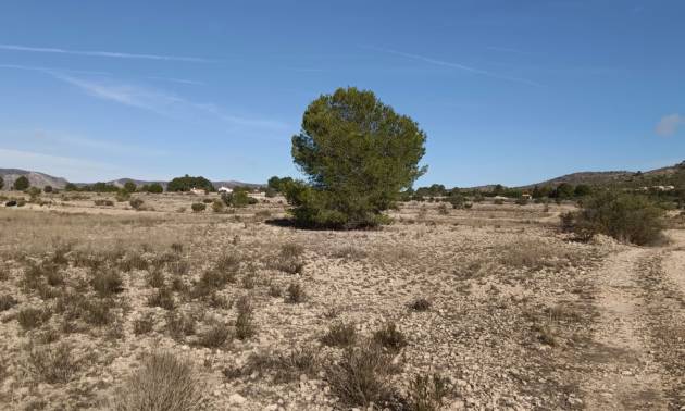 Land - Bestaande woningen - Salinas - Salinas