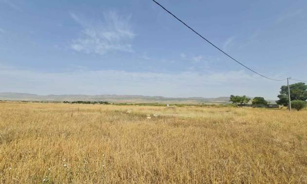 Land - Bestaande woningen - Yecla - Yecla