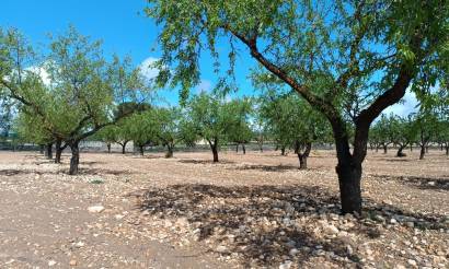 Land · Bestaande woningen · Yecla · Yecla