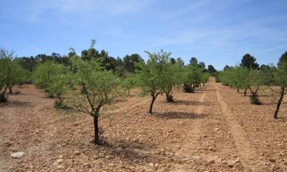 Land · Bestaande woningen · Yecla · Yecla