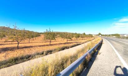 Land · Bestaande woningen · Yecla · Yecla