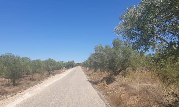 Land - Revente - Biar - Biar