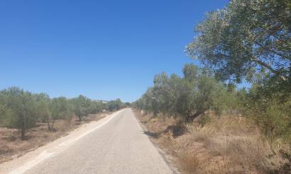 Land · Revente · Biar · Biar