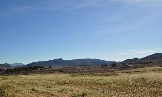 Land - Revente - Chinorlet - Chinorlet