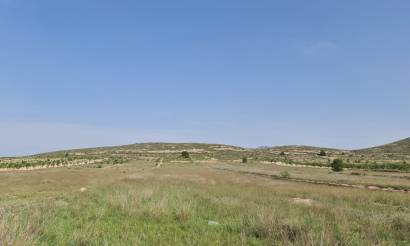 Land · Revente · Jumilla · Jumilla