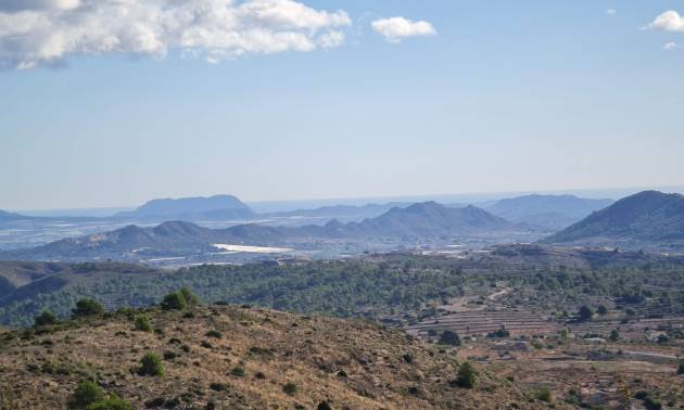 Land - Revente - La Romana - La Romana