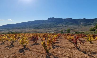 Land · Revente · La Romana · La Romana