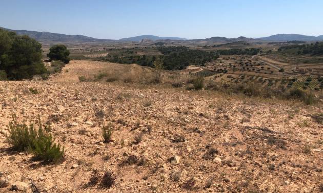 Land - Revente - La Zarza - La Zarza