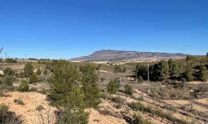 Land · Revente · La Zarza · La Zarza